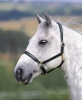 Shires GARA Ragley Lined Leather Headcollar